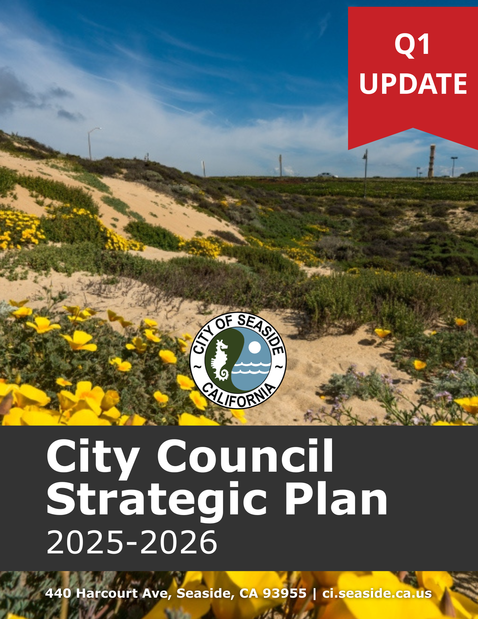 QUARTER 1 UPDATE STRATEGIC PLAN